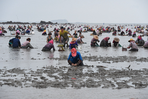 适用于江西环境的无线传输系统