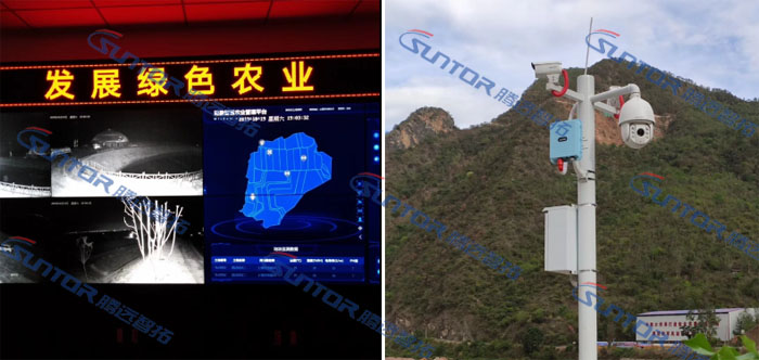  云顶集团现场图