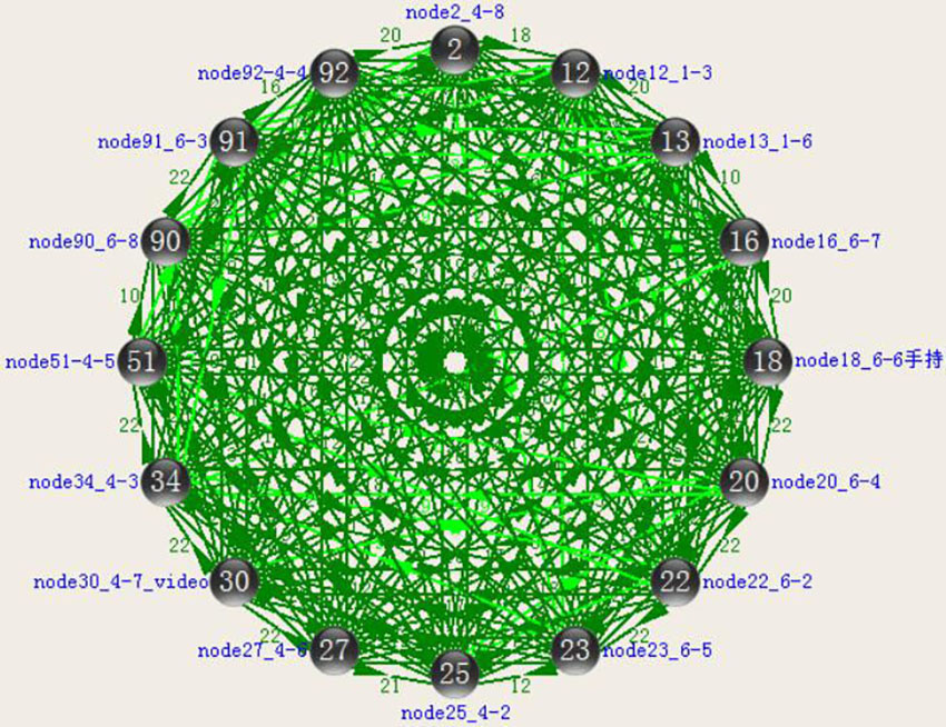 16节点全网互联网状网图