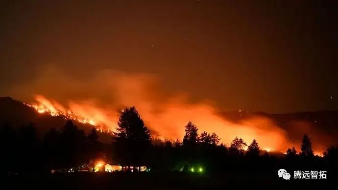 森林火灾