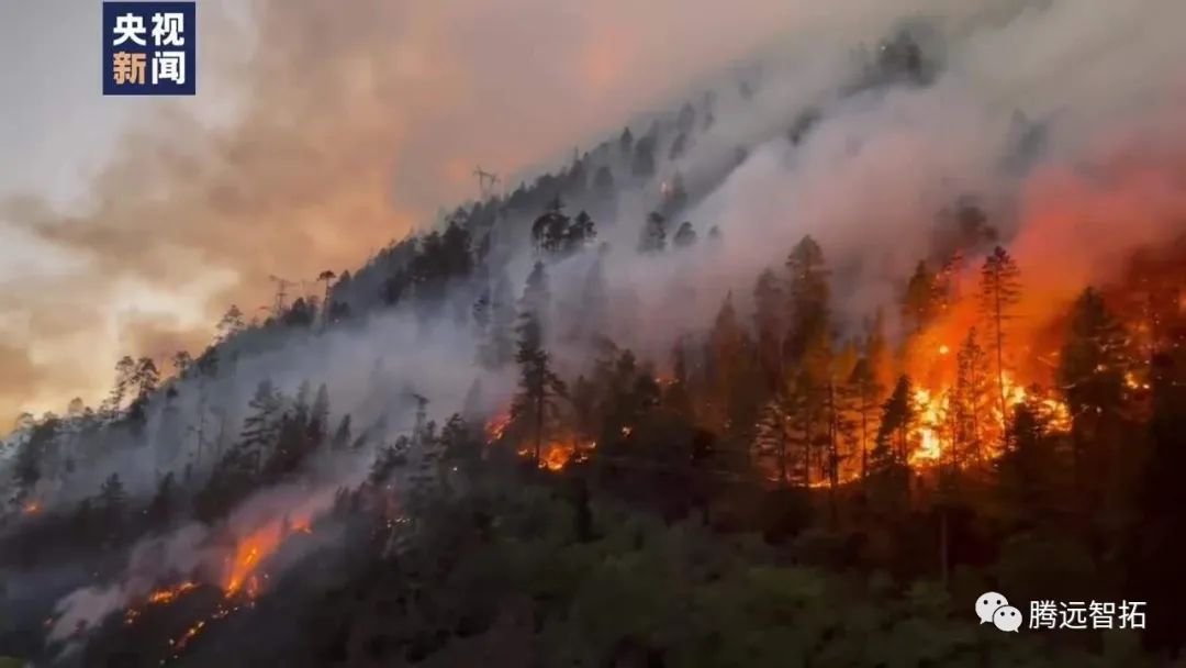 应急布控 | 进入森林防火重点期！该如何监控跟预防？