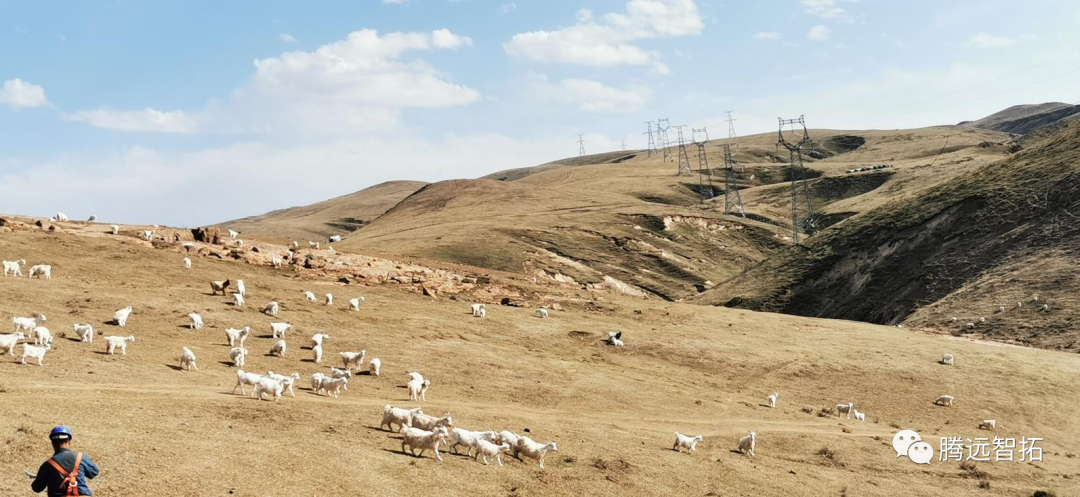 新疆伊犁覆冰无线微波监测项目
