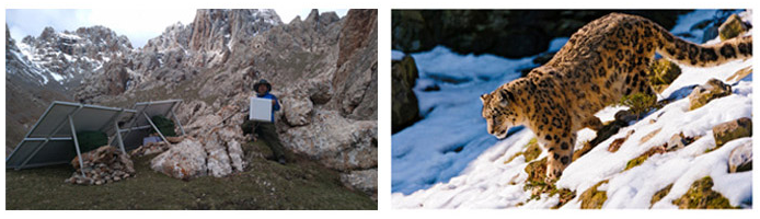 生物多样性监控 生物多样性监控